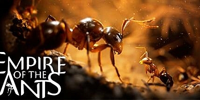 蚂蚁帝国/Empire of the Ants v1.04.20550|即时战略|容量37G|免安装绿色中文版|支持键盘.鼠标.手柄